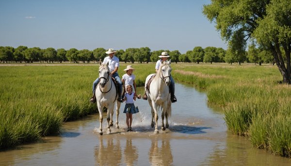 Top conseils pour des vacances en famille à la camargue avec le mas de mourgues