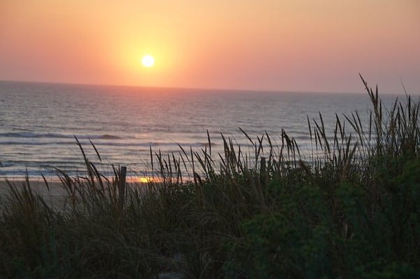 Votre Guide Ultime pour des Vacances Inoubliables en Camping à Biscarrosse
